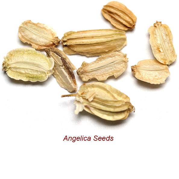 Angelica Root Absolute Essential Oil