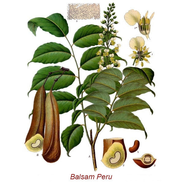 Balsam Peru Wild Crafted Essential Oil