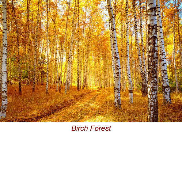 Birch Tar Essential Oil