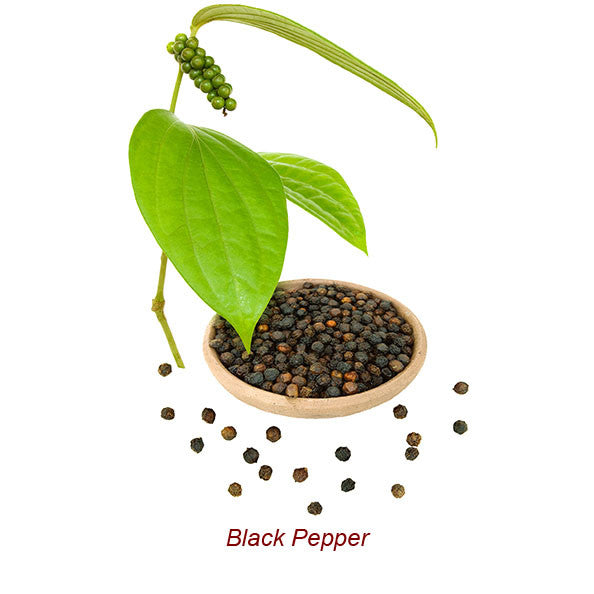 Black Pepper Organic Essential Oil