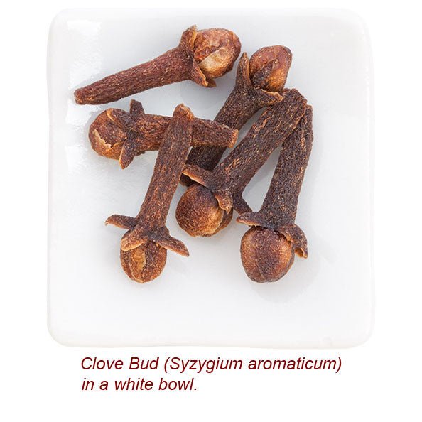 Clove Bud Organic Essential Oil