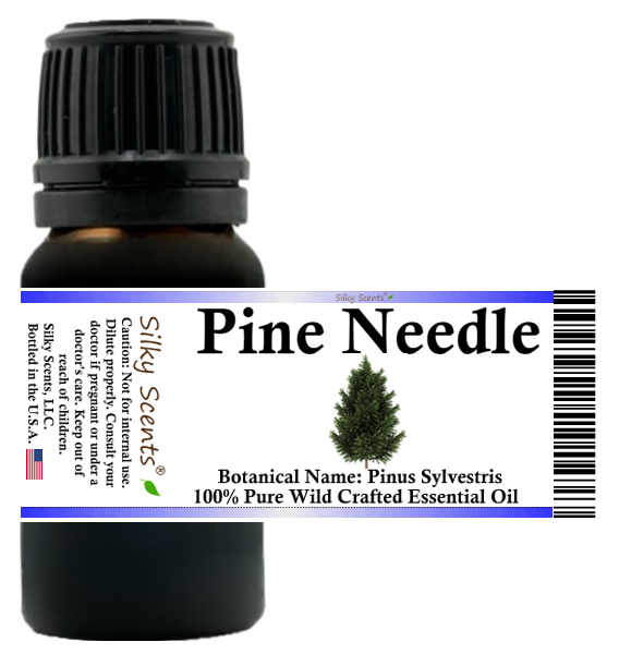 Pine Needle (Pine Scotch) Wild Crafted Essential Oil