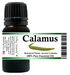 Calamus Essential Oil