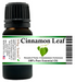 Cinnamon Leaf Essential Oil