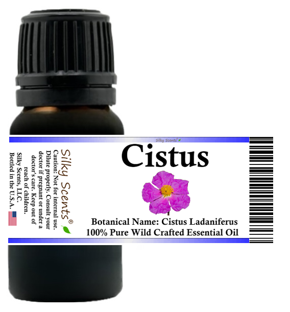 Cistus Wild Crafted Essential Oil (Rock Rose, Labdanum) - LIQUID