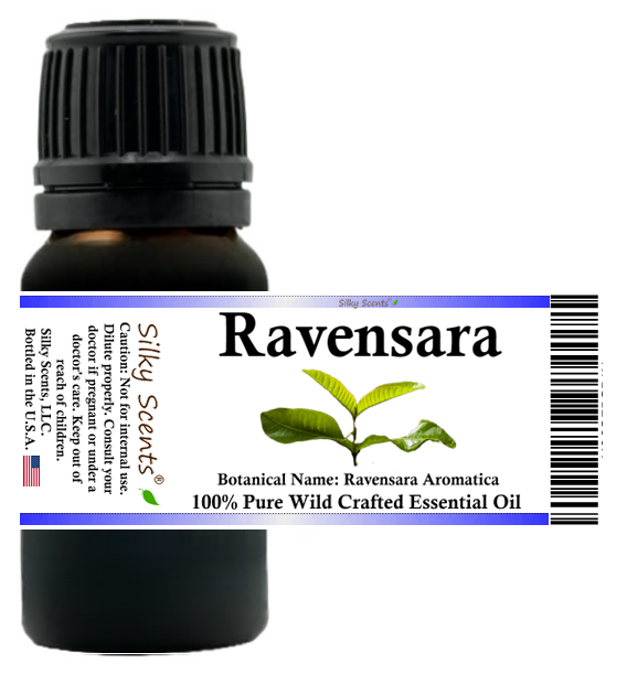 Ravensara Wild Crafted Essential Oil