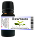 Ravensara Wild Crafted Essential Oil