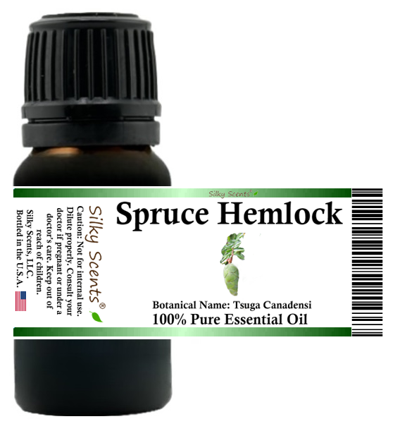 Spruce Hemlock Essential Oil