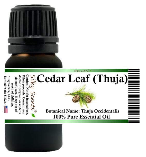 Cedar Leaf (Thuja) Essential Oil - White Cedar