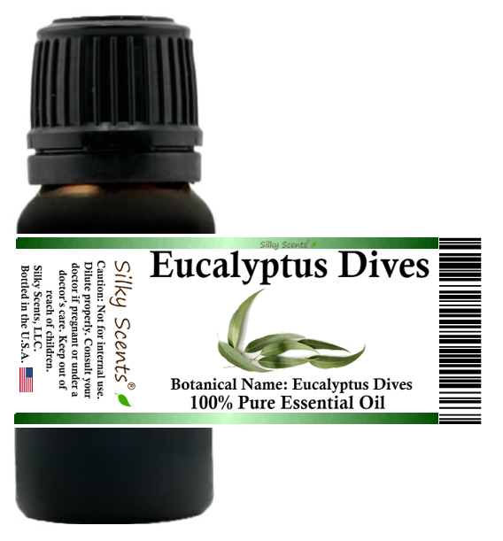 Eucalyptus Dives Essential Oil