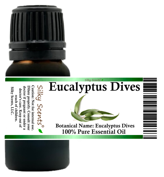 Eucalyptus Dives ( Peppermint) Essential Oil – Silky Scents