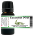 Eucalyptus Dives Essential Oil