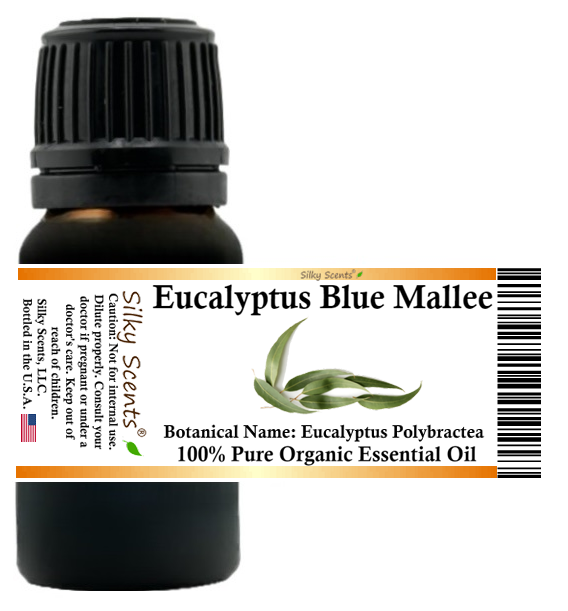 Eucalyptus Blue Mallee Organic Essential Oil