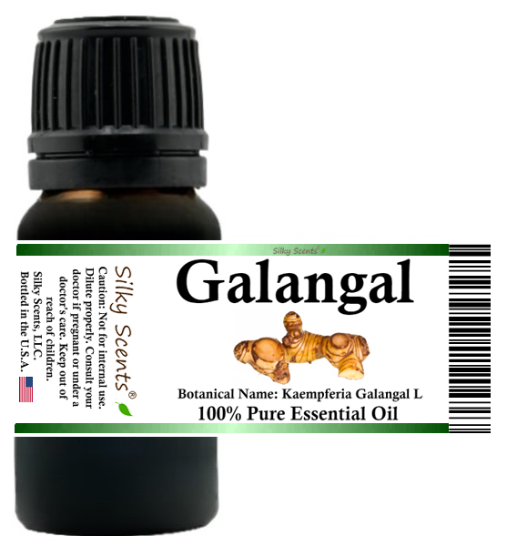 Galangal Essential Oil