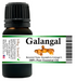 Galangal Essential Oil