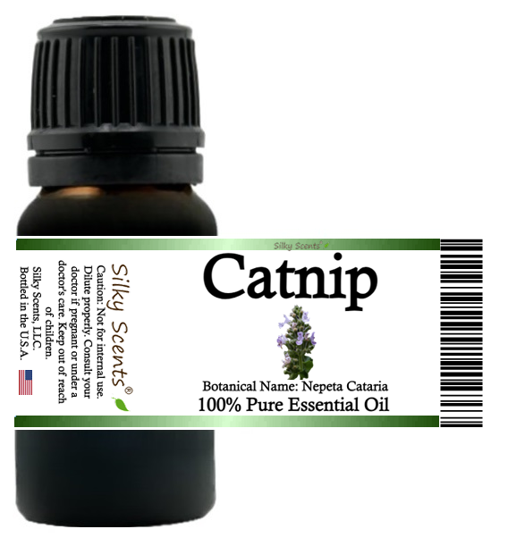 Catnip Essential Oil