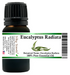 Eucalyptus Radiata (Narrow Leaf) Essential Oil