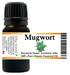 Mugwort (Armoise) Organic Essential Oil