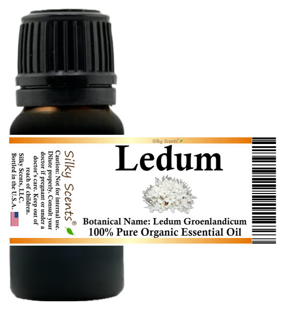 Ledum (Labrador Tea) Organic Essential Oil