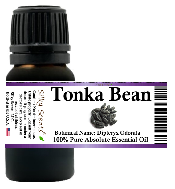 Tonka Bean Absolute Essential Oil (Semi-Solid) *Comes in Jar*