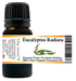 Eucalyptus Radiata (Narrow Leaf) Organic Essential Oil