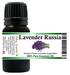 Lavender Russia Essential Oil