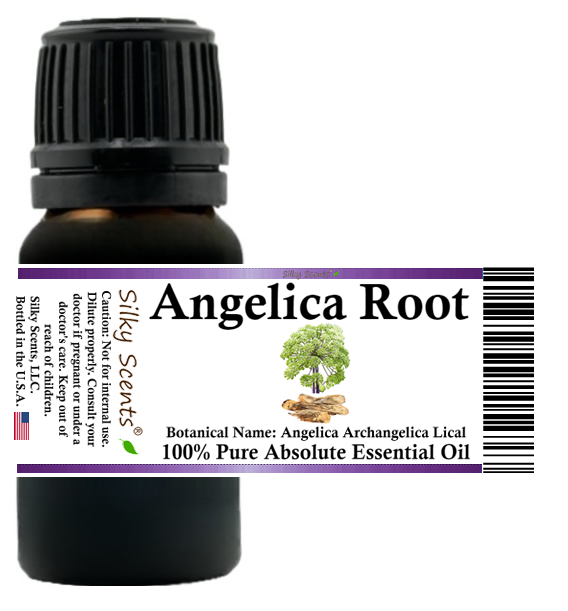 Angelica Root Absolute Essential Oil