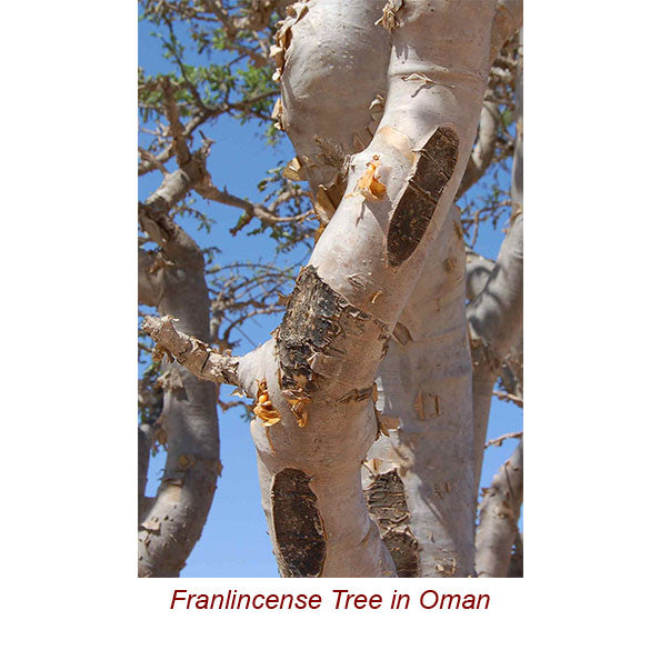 Frankincense Organic Essential Oil