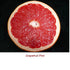 Grapefruit Pink Essential Oil