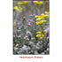 Helichrysum (Italicum) Wild Crafted Essential Oil