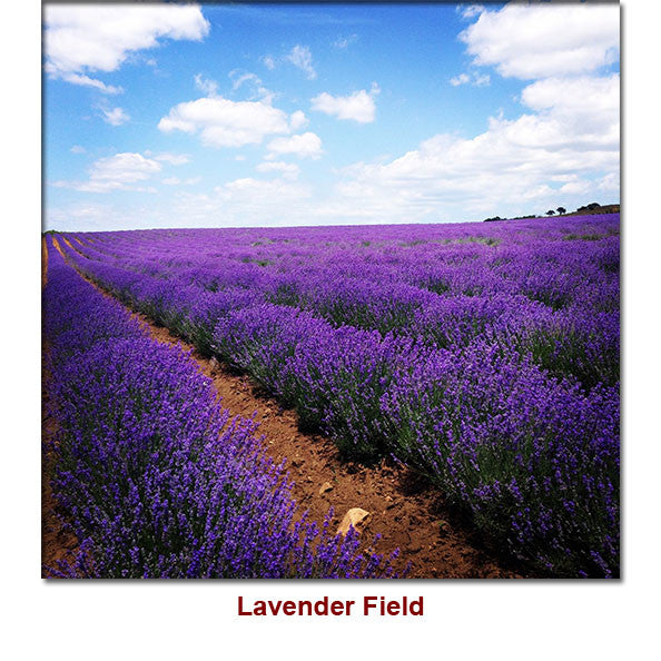 Lavender Bulgarian Essential Oil