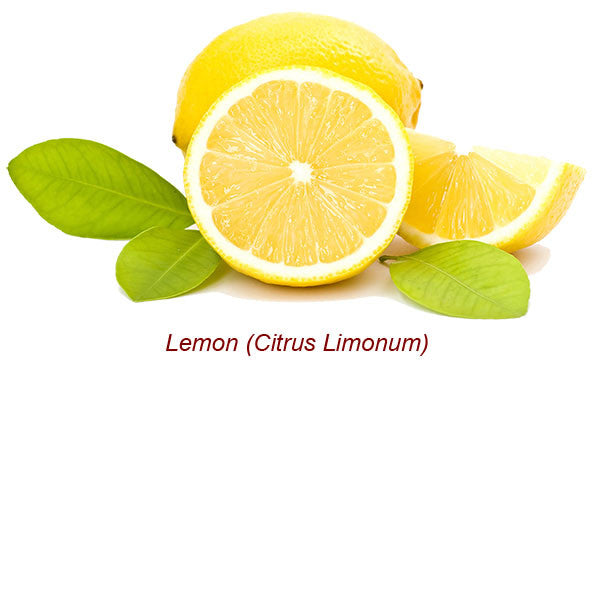 Lemon Organic Essential Oil