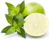 Lime Essential Oil