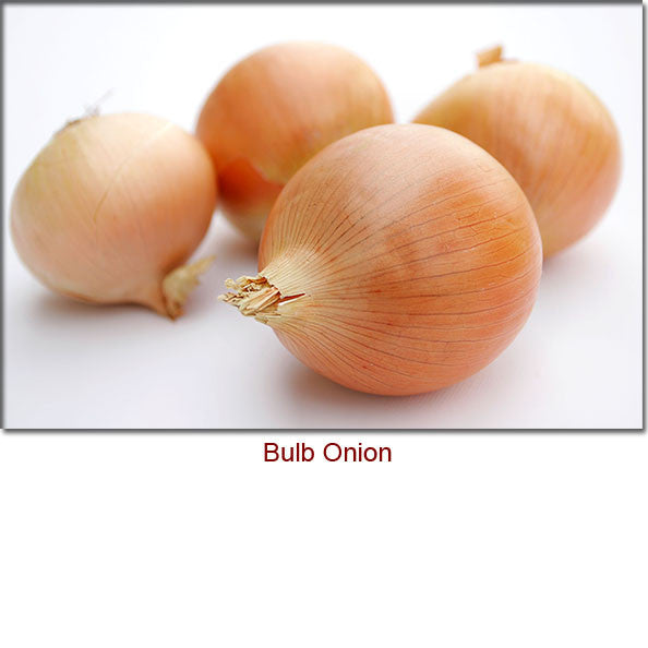 Onion Essential Oil