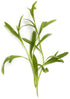 Tarragon Essential Oil