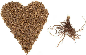 Valerian Root Essential Oil