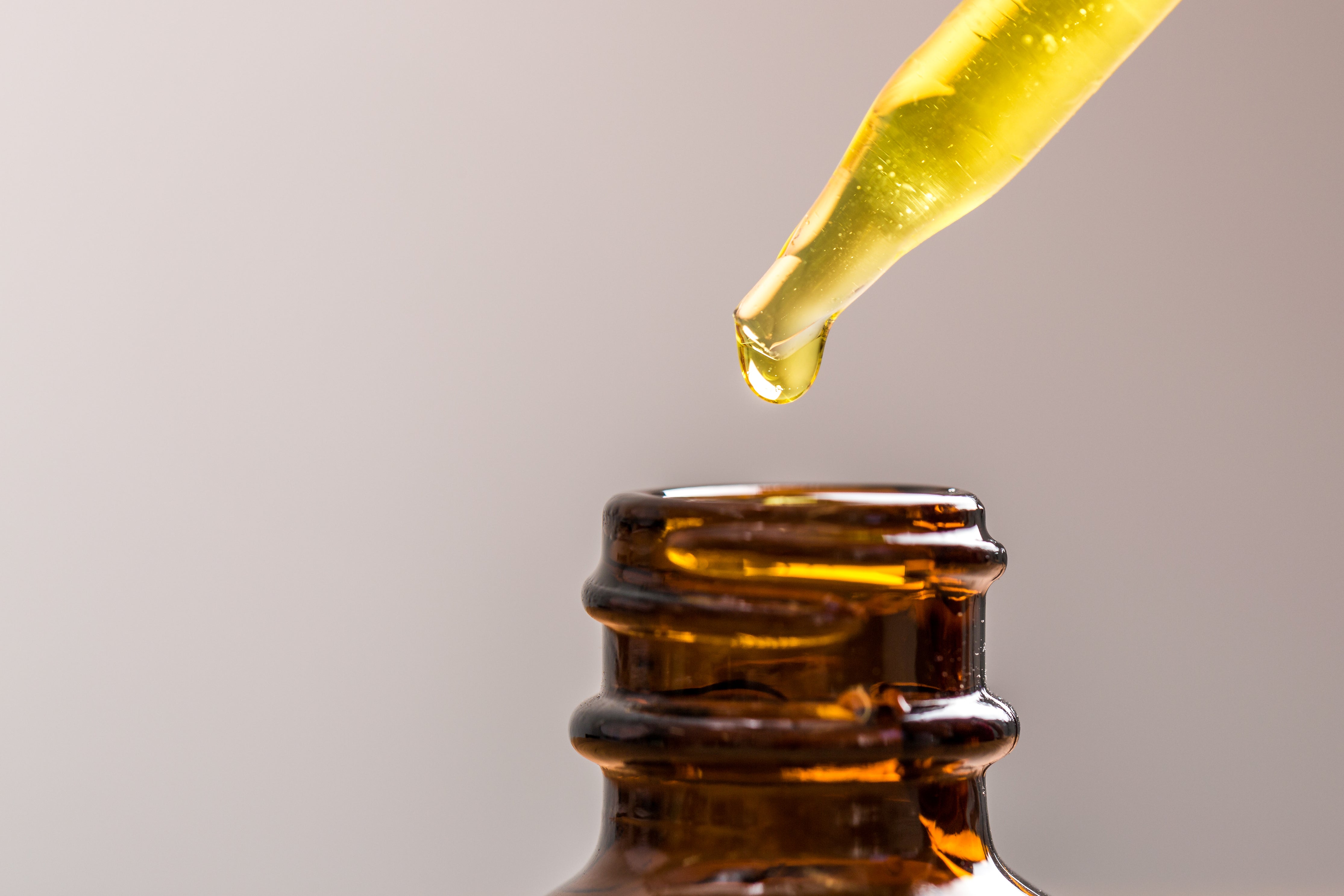 Galbanum Essential Oil